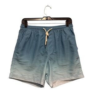 American Eagle Men's Swim Shorts
